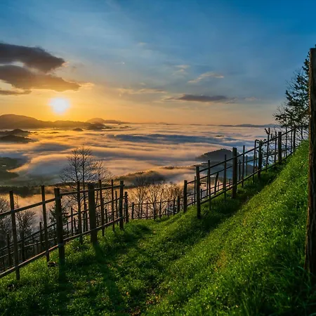 아파트 Posest Kunigunda Smartno v Rozni Dolini